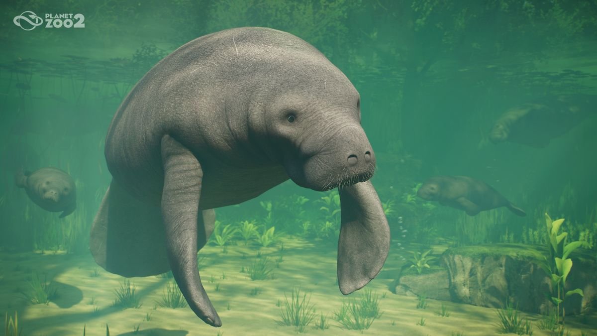 Aquarium habitat in Planet Zoo 2