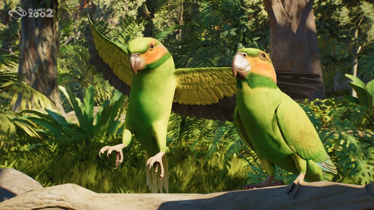 Aviary species in Planet Zoo 2