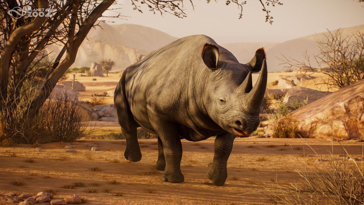 Black rhinoceros habitat in Planet Zoo 2